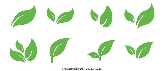 Set green leaves icon vector isolated on white background. Various shapes of green leaves of trees and plants.Eps 10