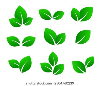 Conjunto de iconos de hojas verdes, Ilustración vectorial