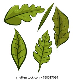 Set Of Green Leaves Illustration Isolated