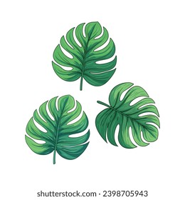 set of green leaves illustration vector design