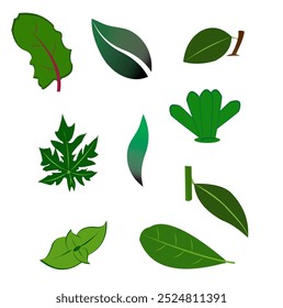 set of green leaves isolated