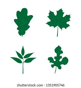 Set of green leaves isolated on white background. Flat style