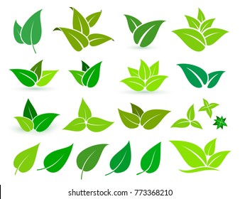 Set von grünen Blättern Logo-Vorlage. Vektorillustration einzeln auf weißem Hintergrund