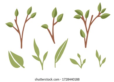 Set of green leaves and leaves on branches flat vector illustration isolated on white background