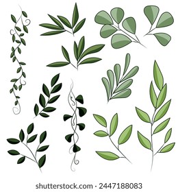 Set of green leaves on branches. Spring and summer plants hand drawn in vector. Eco-friendly plant icons.