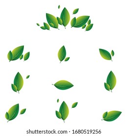 Set of green leaves on a white background. eco, nature and leaf logo inspiration