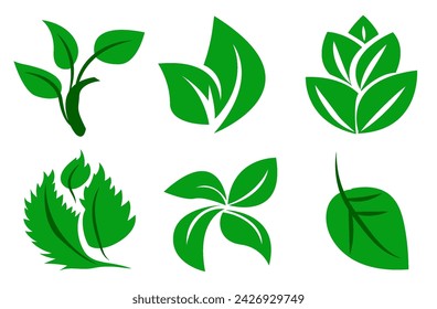 A set of green leaves on a white background, for logos, designs, for the symbolism of the green planet