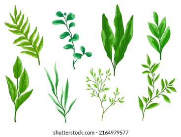 Set of green leaves. Spring or summer stylized foliage.