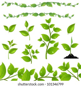 Set Of Green Leaves And Sprouts, Isolated On White Background, Vector Illustration