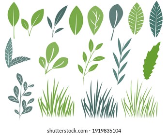 Satz grüner Blätter, Äste und Gras einzeln auf Weiß