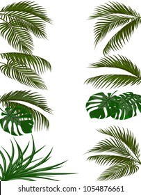 Set green leaves of tropical palm trees. Monstera, agave. Isolated on white background. Vector illustration
