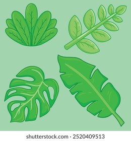 Set of green leaves of tropical plants. Vector illustration isolated on green background.