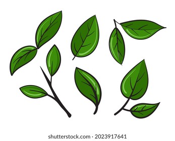 clip art green leaf