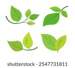set of green leaves in various shapes and arrangements. Minimalistic graphic style on a white background. The concept is related to nature, eco-friendly logos, gardening, and environmental icons