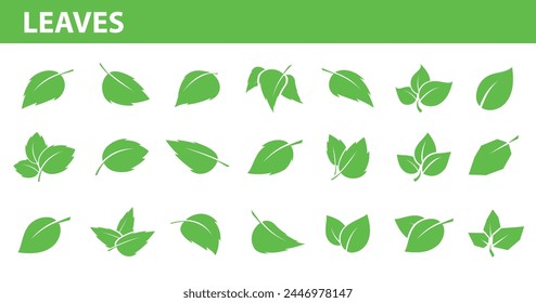 set of green leaves vector graphic design