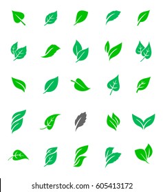 Set of green leaves. Vector icons isolated on white background. Natural organic product labels, emblems and badges.
