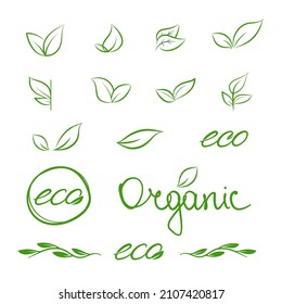 A set of green leaves. Vector illustrations perfect for your design. Smooth, organic, dynamic lines perfectly show the naturalness of your product. EPS10.