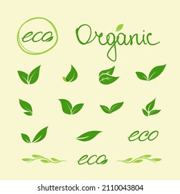 Set of green leaves. Vector illustrations perfect for your design. Smooth, organic, dynamic lines perfectly show the naturalness of your product. EPS10.	