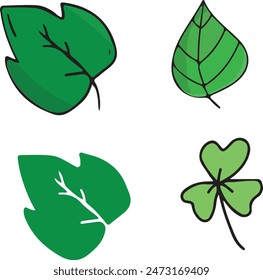 set of green leaves	
in a white background