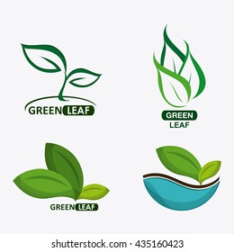 set of green leves design. nature icon. White background, graphic vector