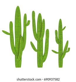 Set of green long cacti. Succulents, growing in stone and sand deserts. Vector illustration, isolated on white background.