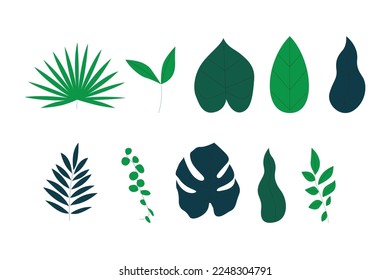 Set of green monstera palm and tropical plant leaf Flat vector illustration