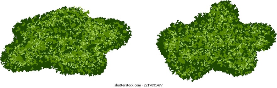 Set of green moss bushes or forest lichen with realistic texture isolated on white background. Marsh plants, bog flora. Vector illustration