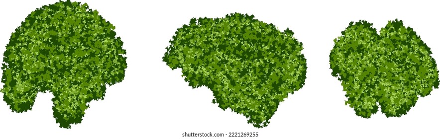 Set green moss islets forest lichen and realistic texture isolated white background  Marsh plants  bog flora  Vector illustration
