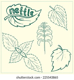 Set of green nettle branch and leaf. Hand drawn sketch. Vector illustration.
