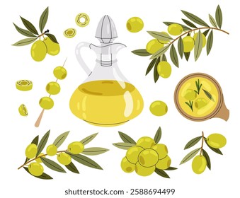 Set green olive, branch and bottle oil. Olive berries and tree branches with leaves isolated on white background.