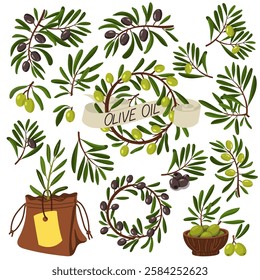 set of green olive branches. Various branches with fruits, oil and leaves. Flat color illustration on white. Products with branches, olives. Whole foods for making fresh meals. Sprout, wreath