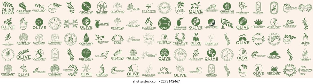 set of green olive oil logo for modern female beauty