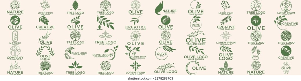 set of green olive oil logo for modern female beauty