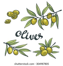 Set of green olives.  Vector isolated objects.