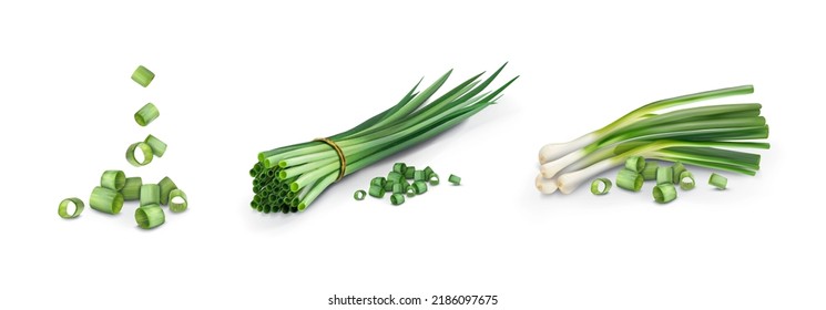 Set of green onions. Vector illustration.