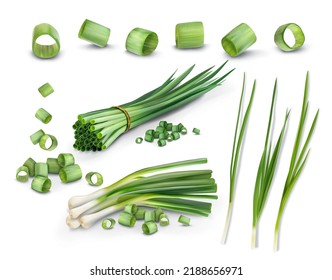 Set of green onions. Vector illustration. svg