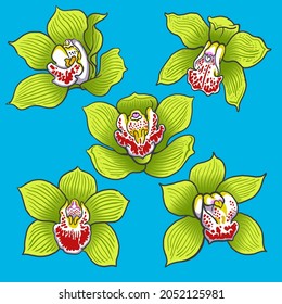 set of Green Orchid flower collection