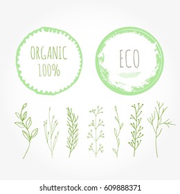 Set of green organic labels with text. Grunge brush eco icons. Vector healthy food badges, tags for cafe, restaurants, products packaging etc. Bio circle frame.