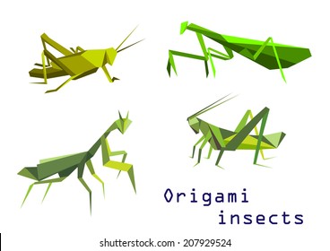 Origami Grasshopper Images Stock Photos Vectors