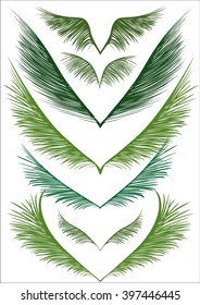 a set of green palm fronds on white background