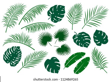 set of green palm leaves