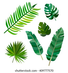 Set of green palm leaves with hawaii on white background. Vector hawaii leave illustration eps10