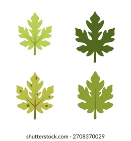 Conjunto de hojas de papaya verde Ilustración vectorial para conceptos de naturaleza tropical.