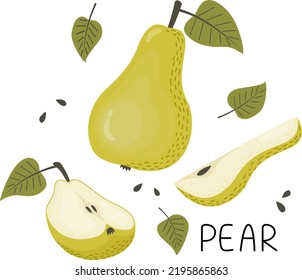 Set of green pear, pear halves, slices, seeds and leaves. Vector illustration in a flat style.