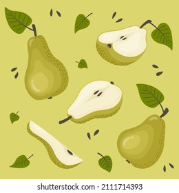 Set of  green pears. Whole, sliced ​​pears, half a pear on a green background. Vector illustration in a flat style.