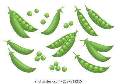 Set of green peas. Collection of green peas in pods on white background. Legumes, food illustration.