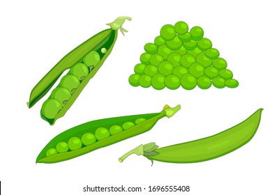 Set green peas isolated on white background. Collection of colorful peas. Fresh legume, whole and open pod of green peas with sweet seed. For book, poster, card, menu, web pages, banner. Stock vector