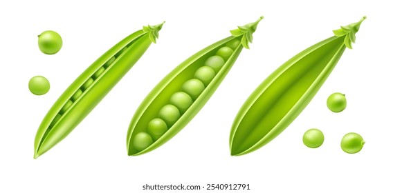 Set of green peas in the pods. Natural organic vegetables. Fresh grown food for healthy eating. Isolated on white background. Realistic. Vector illustration.