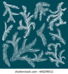 A set of green pine branches for christmas decoration.