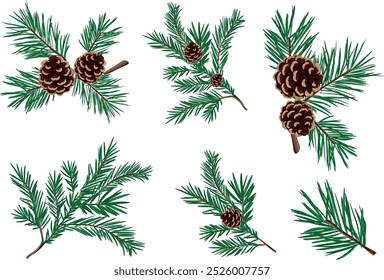 A set of green pine branches with cones in a cartoon style. Vector illustration of a Christmas pine flower with cones of large and small size isolated on a white background.